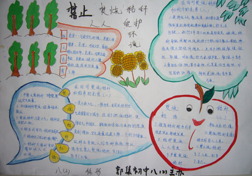 关于环保的手抄报:人人爱护环境_中学生环保作