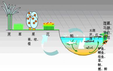 高二地理暑假作业测试题:《农业的区位选择》