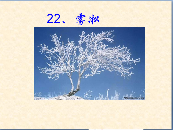 苏教版四年级语文上册课件:雾凇ppt课件(1)_四