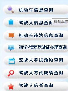 山东省济南市机动车驾驶员信息查询网站
