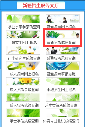 新疆教育厅阳光招考在线2015新疆高考查分入