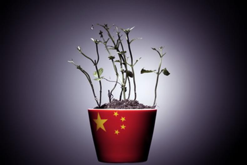 浅谈中关村经济学论文_中国经济论文