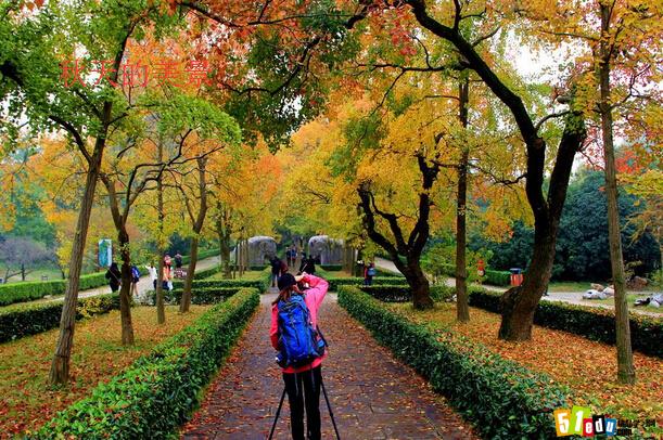 描绘秋天:秋天的风景作文范文推荐_季节时令