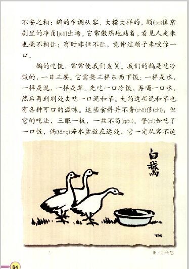 2015人教版小学四年级语文上册4单元白鹅知识
