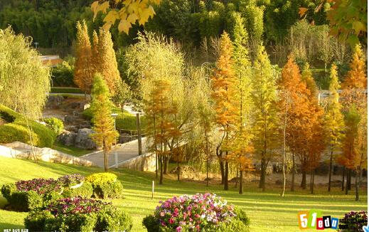 写景作文:描写美丽的秋天作文大全(5篇)