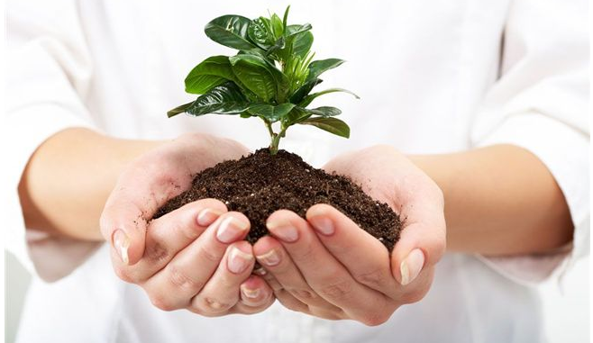 2016年云南中考改革方案(各科目)_云南中考信