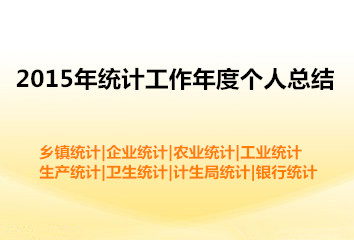 2015年统计工作年度个人总结(各行业)_统计工