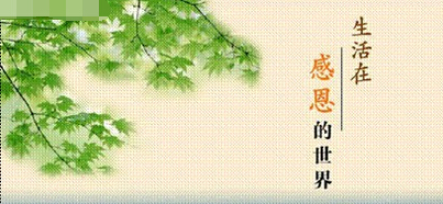 感恩生活,感谢有你│有关感恩生活作文精选