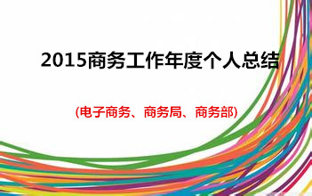 2015商务工作年度个人总结(电子商务、商务局
