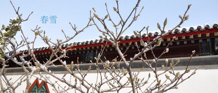 【春天作文】描写春雪的作文参考_季节时令