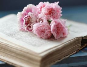 初中生暑假读书笔记大全:初一_读书笔记