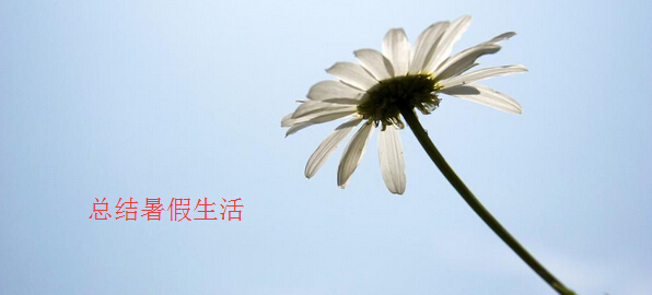 暑假作文-高中生暑假总结作文参考_高中暑假作文