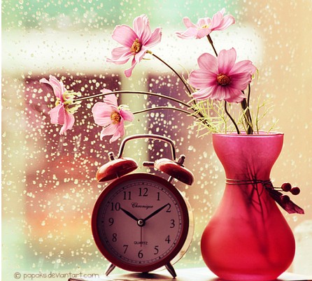 初一生物上学期全年教学计划 初一生物上学期全年教学计划