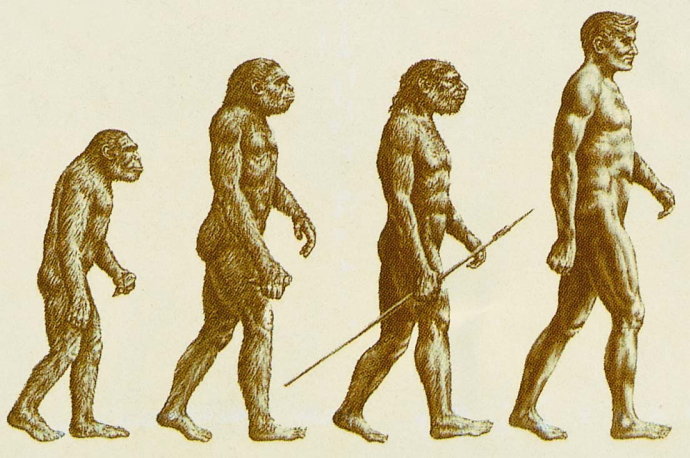 北师大版七年级上册历史中华大地的远古人类知