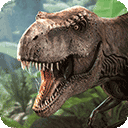 三期内必中一期